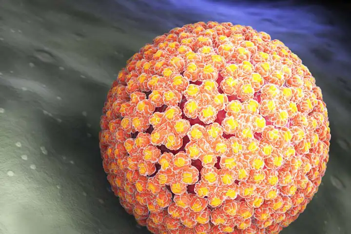 آشنایی اجمالی با تست HPV و روش انجام آن به منظور پیشگیری از بروز سرطان دهانه رحم