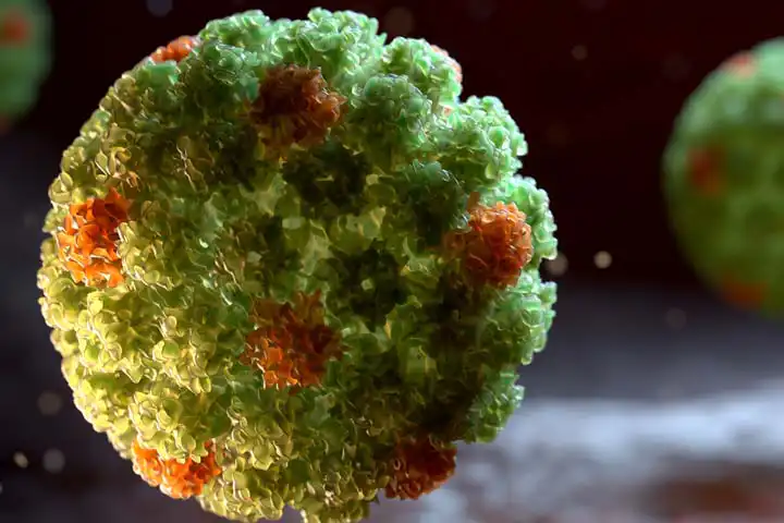 ویروس HPV چیست و چرا باید آن را جدی بگیریم؟